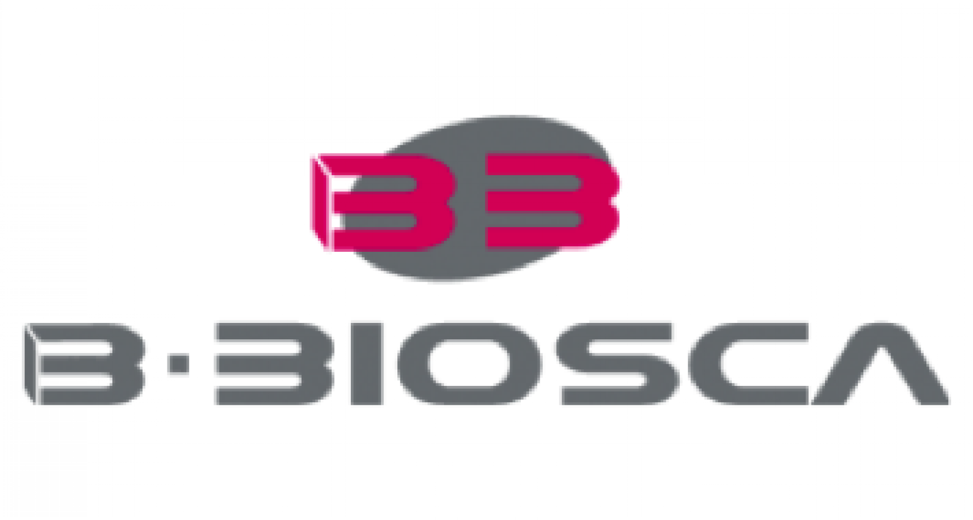 [Entrevista] Lurdes Biosca: vam començar a treballar amb les normes ISO 9001, 14001 i 18001, no pas per separat, sinó d’una manera integrada i que tenia un nom, l’RSE