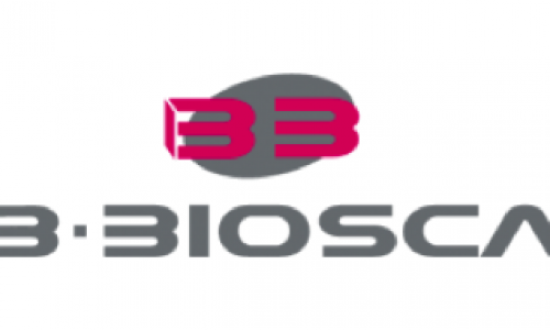 [Entrevista] Lurdes Biosca: vam començar a treballar amb les normes ISO 9001, 14001 i 18001, no pas per separat, sinó d’una manera integrada i que tenia un nom, l’RSE