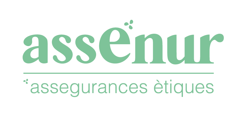 logo Assenur