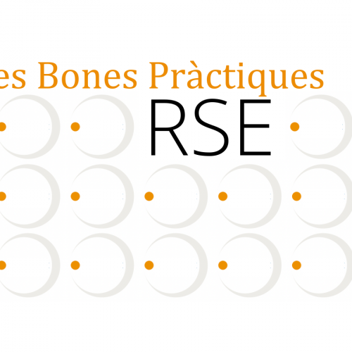Fichas de Buenas Prácticas en RSE de las empresas participantes en RSE.Pime 21-22