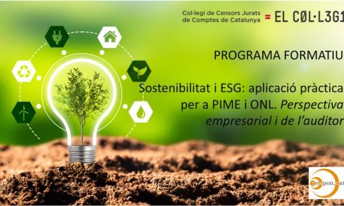 Inscripcions obertes: programa formatiu sobre Sostenibilitat i ESG organitzat pel Col·legi de Censors de Comptes