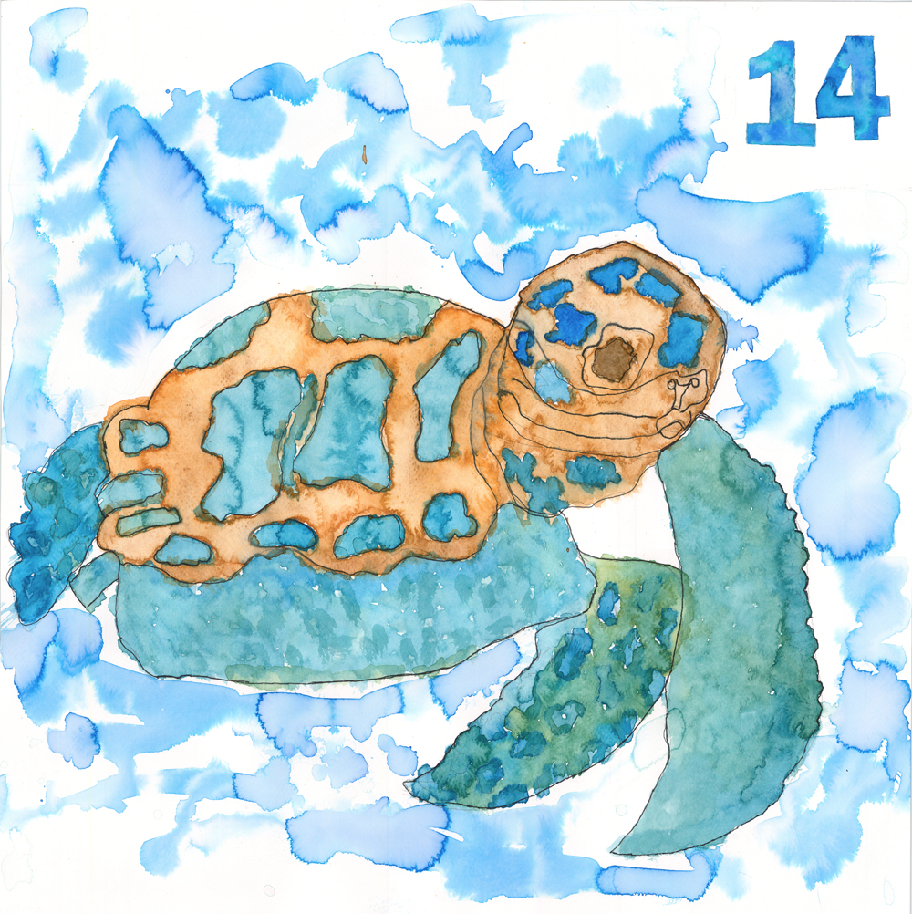 ODS Art de Viure Ampans 2023 #14 Vida submarina